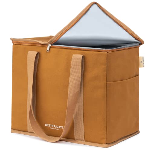 Comparison of Best Insulated Grocery Bag Top Picks 2023 Reviews