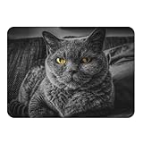 Impression locale : imprimé en France par une PME artisanale, assurant un savoir-faire de qualité