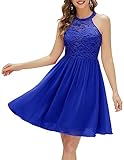 Wedtrend Royal Blue Women's Floral Lace Short Semi Formal Dress, A-line Halter Swing Cocktail Party Dresses Chiffon Sleeveless Juniors Prom Dress Modest Bridesmaid Dresses WT0203RoyalBlueL