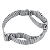 Hyhug Martingale Halsband M Grau | Fluchtsicher & rutschfest mit Zugstopp - Robustes Nylon für Training & Spaziergänge - Ideal für kleine & mittelgroße Hunde