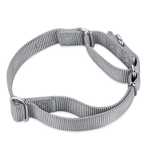 Hyhug Martingale Halsband M Grau | Fluchtsicher & rutschfest mit Zugstopp - Robustes Nylon für Training & Spaziergänge - Ideal für kleine & mittelgroße Hunde