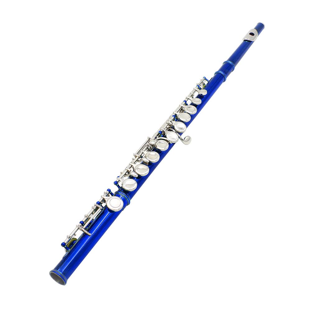 Flauta Travesera Cuproníquel Plateado 16 Agujeros C Clave Instrumento de Viento de Madera con Grease Cork Paño de Limpieza Guantes Palillo Mini Acolchado Caso Destornillador