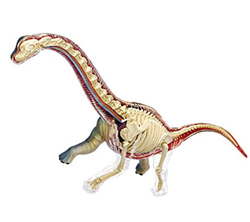 4D マスター恐竜解剖モデル、取り外し可能な 42 個のパーツ動物恐竜臓器医療教育モデル、医療教育トレーニング補助用の模型動物子供ギフト玩具。