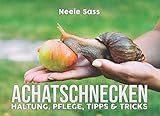  Achatschnecken Haltung, Pflege, Tipps & Tricks: (inkl. Anleitung für die Zucht) - alles über die Haltung der afrikanischen Riesenschnecke