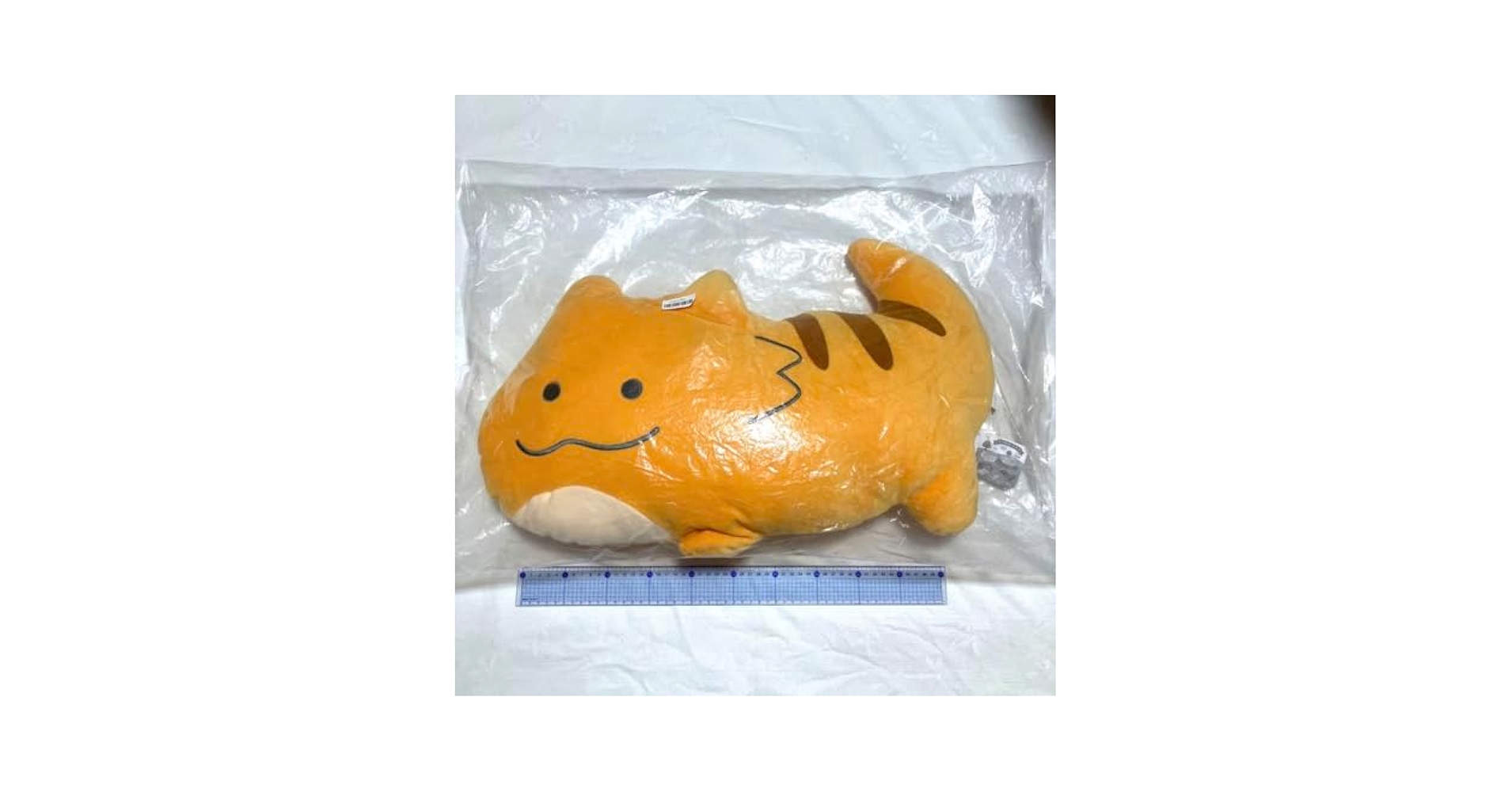つぶらな瞳の爬虫類館もちふわびっぐ Amazon.co.jp: フトアゴヒゲトカゲ つぶらな瞳の爬虫類館 もち