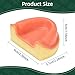 Ultrassist Dental Implant Training Maxillary Edentulous Model, Simplified Maxilla with Soft Tissue, Great Training Tooth for Implant Practice