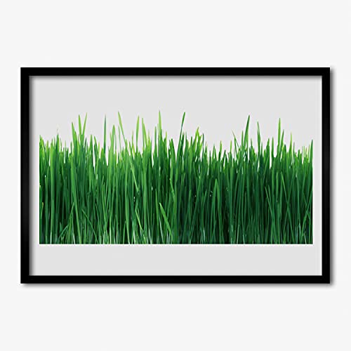 Affiche encadrée 100x70 cm herbe naturelle cadre MDF Tulup pour déco salon