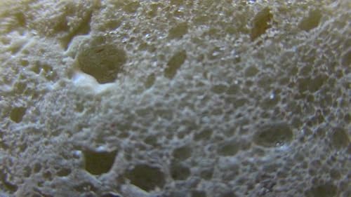 Red Devil 0909 Spray Foam, Fill Large Gaps & Cracks Expanding Insulation Polyurethane Foam Sealant, 12 Oz, Off White - Thumbnail 5