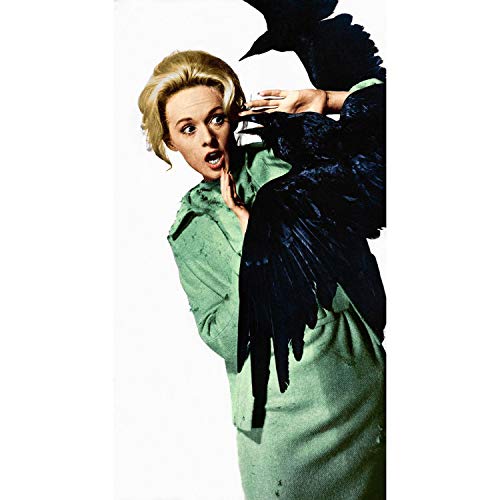 Affiche de cinéma rétro Les Oiseaux pour décorer un salon vintage