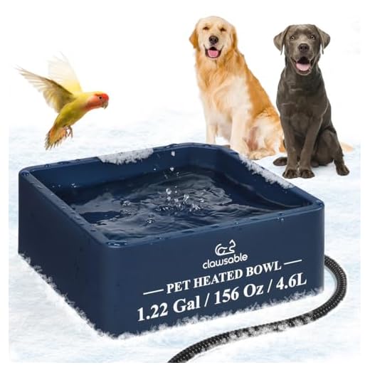 Heated Water Bowl for Outdoor Pets