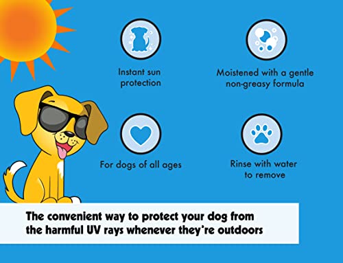Petkin Dog Sunscreen Sunstick, 2 Pack – Sunscreen for Dogs and Puppies, SPF 15 – Simply Rub on Anytime for Instant Sun Protection – Vanilla Coconut Scent, .5 oz Net Weight – Ideal for Travel - Thumbnail 4