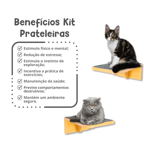Playground para Gatos 2Pçs Tam M Resistente Já Montado Com Kit Fixação e Seguro (Carpete Grafite)