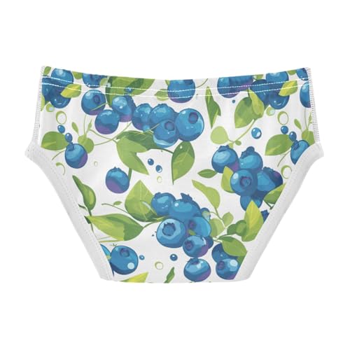 Wusikd Blueberries Fruity Boys' Underwear Cotton Boys Briefs Soft Toddler Underwear 2T2