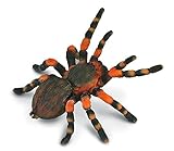  CollectA Mexikanische Rotknie-Vogelspinne