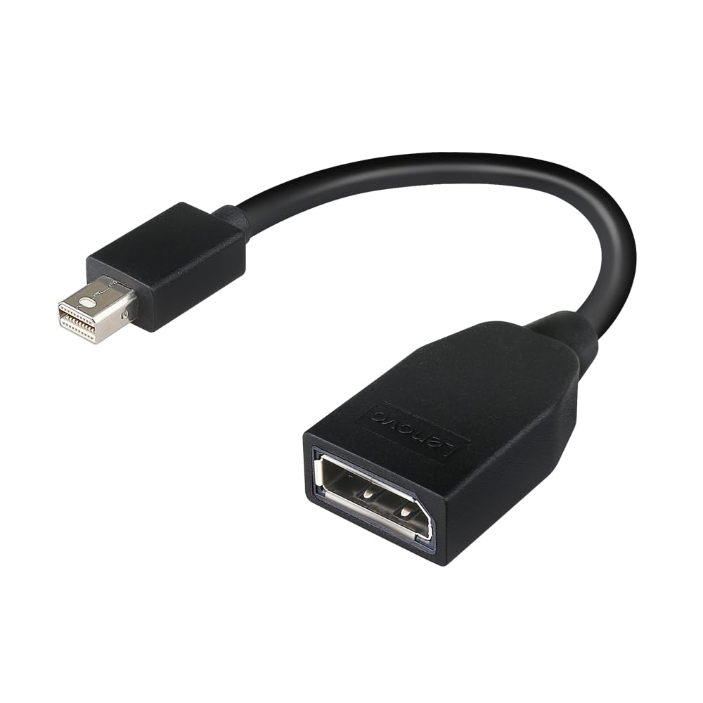 Amazon.com: Lenovo DisplayPort Adapter - 6.9 in - Mini DisplayPort