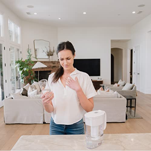 Nu Aqua Brushed Satin Nickel Designer Reverse Osmosis Faucet #TOP3