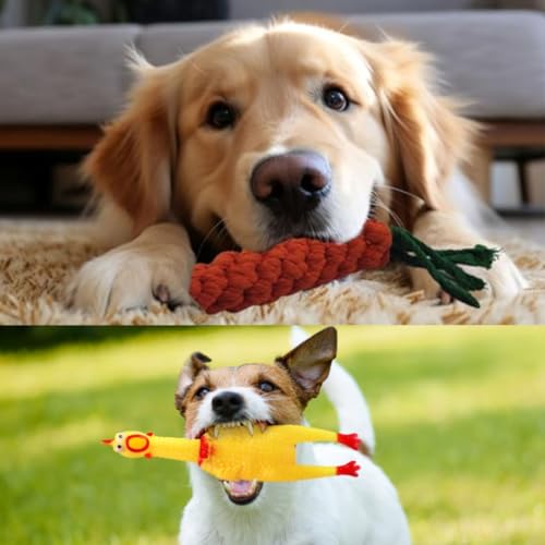 Image of Polka Squeaky Chicken & Carrot Rope Puppy & Dog Toy - Fun Interactive Chew Toys for Dogs - Durable, Non-Toxic & Safe - Great for Tug, Fetch & Teeth Cleaning - for Small & Medium Pets (Combo of 2)