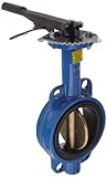 Dixon BBFVW400 Ductile Iron Wafer Style Butterfly Valve with Aluminum Bronze Disc and Buna-N liner, 4