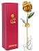 Icreer 24k Gold Dipped Red Rose Free Crystal Stand,Gifts for Anniversary,Birthday,Valentines Day,Wedding,Presents for Her,Mom,Wife,Girlfriend