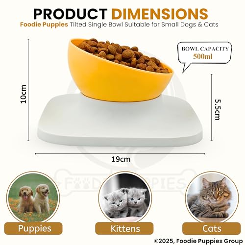 Image of Foodie Puppies Cat Food Bowl with Stand - (Orange, 500ml) Tilted Bowl Food and Water Drinking Feeder Bowl with Non-Skid Base and Easy-to-Clean Design | Suitable for Cats, Puppies and Small Dogs