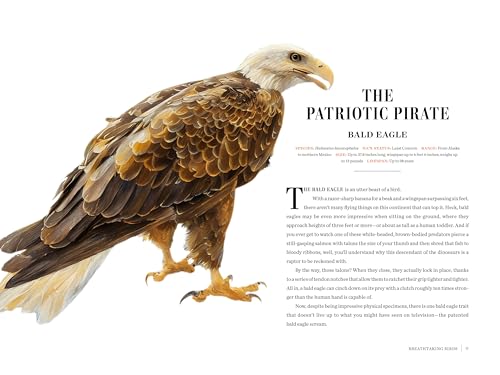 Image of Grizzled: Love Letters to 50 of North America's Least Understood Animals