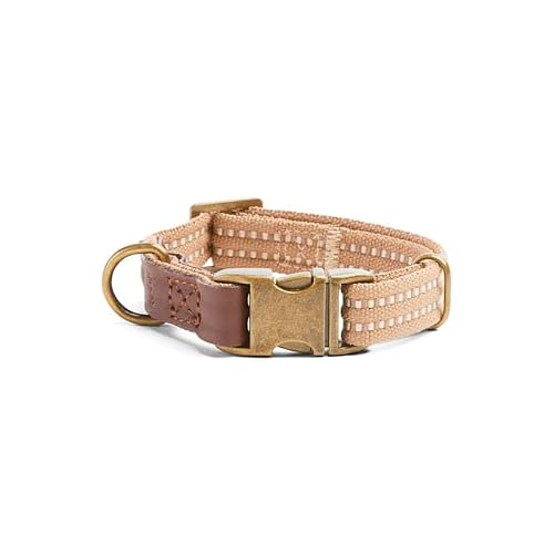 Reddy by Petco Webbed Dog Collar Tan Small