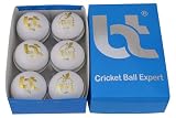 BT Premium White Cricket Ball - Pack of 6 Genuine Leather Cricket Balls for Day or Night International...