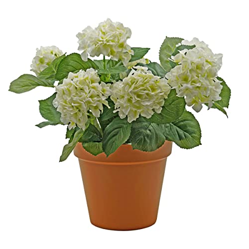 Image of GreenBrokers Premium Quality Artificial White Hydrangea Flower Bush in Terracotta Coloured Pot (50cm) with Nine Flower Clusters for Home or Outdoor Living
