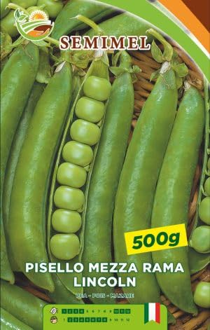Pisello Mezza Rama Lincoln - Legume Medio-Tardivo, Baccelli Verdi e Rugosi, 500g di Semi 2 confezioni