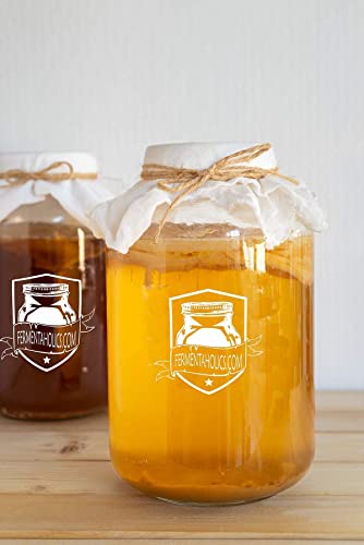 Jun Kombucha Starter Culture - Usda Certified Organic Jun Scoby & Starter Tea - Makes 1 Gallon - Brewed With Organic Green Tea & Honey - Brew Jun Tea! #TOP7