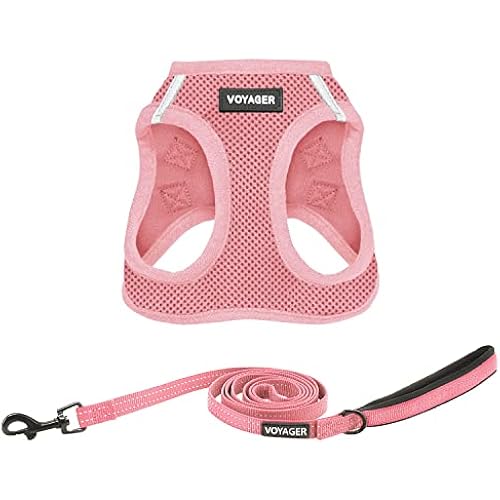 Best Pet Supplies Voyager Step-in Air All Weather Mesh Harness and Reflective Dog 5ft Leash Combo with Neoprene Handle, for Small, Medium and Large Breed Puppies - Pink, XXX-Small