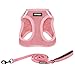 Voyager Step-in Air All Weather Mesh Harness and Reflective Dog 5 ft Leash Combo Neoprene Handle, for Small, Medium and Large Breed Puppies by Best Pet Supplies - Pink (Matching Trim), M