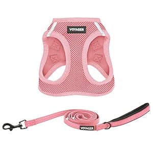 Voyager Step-in Air All Weather Mesh Harness and Reflective Dog 5 ft Leash Combo with Neoprene Handle, for Small, Medium and Large Breed Puppies by Best Pet Supplies – Harness Leash Set (Pink), XS