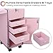 BYOOTIQUE Pink Rolling Manicure Table with Storage and Telescopic Handle Foldable Beauty Salon Makeup Station for Professional Makeup Artist Manicurist Nail Bar Technician Hairstylist Barbershop