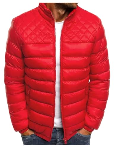 [Qztuory] EgCg_E _EWPbg Y y g h h  AE^[ ʋΒʊw oR AEghA tH~ (bh,3XL)