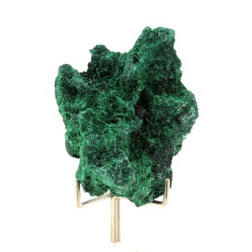 Malachite naturelle du Congo de 243,5 carats pour collectionneurs