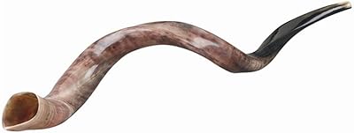 Ultimate Judaica Kosher Shofar Yemenite Horns - Shofar Size Large - 31