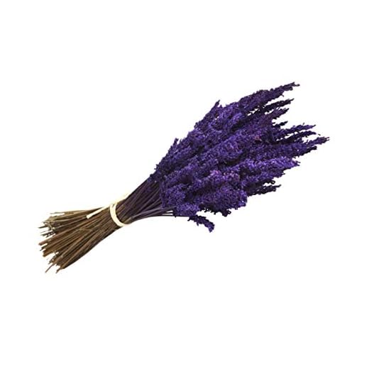 Lavanda Experience, Ramo de Flores Naturales de Lavanda Preservada de Cultivo Ecológico en la Cuenca Mediterránea, Elaborado Artesanalmente con Productos de Primeras Calidades