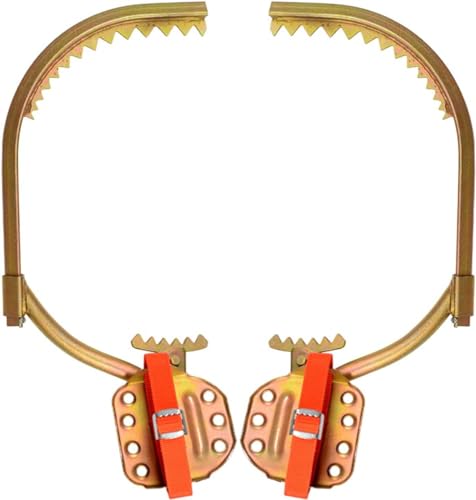 DFANCE Tree Climbing Spikes Baumklettern Werkzeug,Bäume Klettern Steigeisen Baumklettern AusrüStung FußSchnalle Eines Elektrikers Einfach zu Verwenden Leicht zu PflüCkende FrüChte(Size:JKT 300)