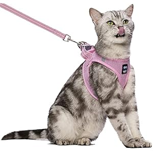 Cat Harness and Leash for Walking Escape Proof Adjustable Reflective Breathable Soft Air Mesh Step in Easy Control Outdoor Vest Jacket for Small Medium Large Kitten Puppy