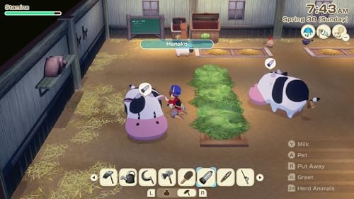 STORY OF SEASONS GRAND BAZAAR | STANDARD EDITION NSW 2 - 1