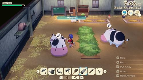 Image of STORY OF SEASONS: Grand Bazaar - Nintendo Switch