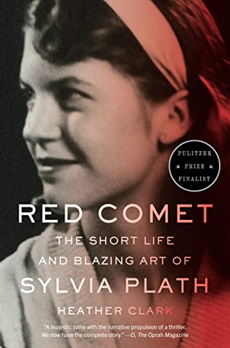 Red Comet: The Short Life and Blazi…