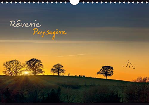 Reverie Paysagere (Calendrier mural 2021 DIN A4 horizontal): Reverie paysagere au fil du temps (Calendrier mensuel, 14 Pages )