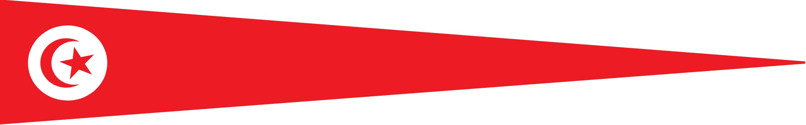 Drapeau Tunisie 60x40 cm fanion national rouge et blanc pour pavillon marine