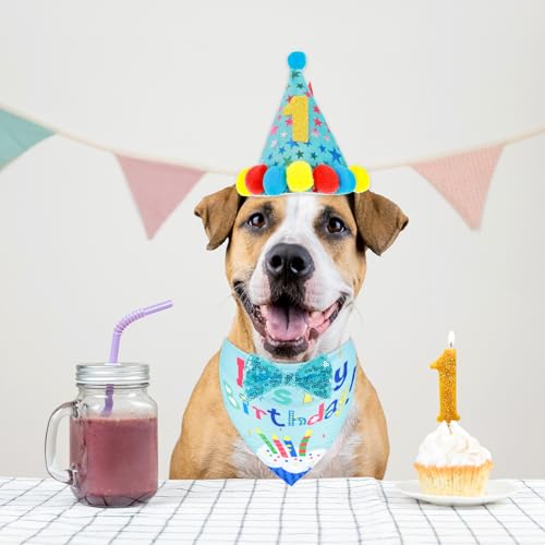 Artigos de festa de aniversário para cães, aniversário, menino, menina, bolo, triângulo, lenço, cami