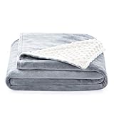 Linenspa Dotted Minky and Minky Zippered Duvet Cover for Weighted Blanket - 10 Pre-Sewn Duvet Loops - Removable and Machine Washable