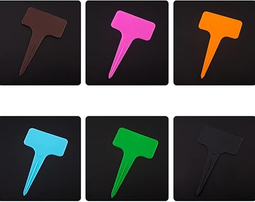 Miniatura 8 de YARNOW 200 piezas de plantas vegetales, Suculentas, plantas suculentas, marcadores de jardín, plantas de casa, flores, plantas de bricolaje, macetas