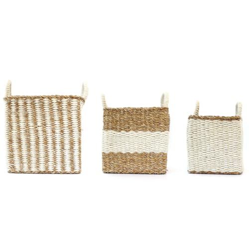 ygR[|[VzoXPbg XNGARrds W[gV[OXLF30x30xH30cmAMF26x26xH26cmASF22x22xH22cm