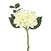 Vickerman 15